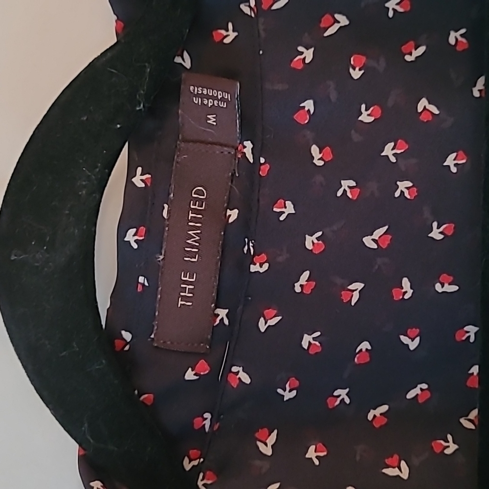 The Limited Blouse